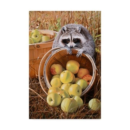 Ron Parker 'Apple Harvest' Canvas Art,30x47